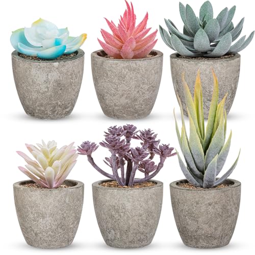 Set of 6 Artificial Succulents Potted - Realistic Mini Fake Cactus Plants in Paper Pulp Pots, 2-4'' Mixed Sizes for Farmhouse Shelf, Bathroom, Coatrack Shelf, Bedroom Indoor(Vivid Style) - style: Vivid Style