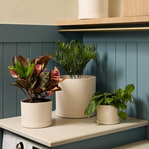 Bloem Mathers 6" Plastic Planter - Modern Indoor Pot with Drainage Holes and Saucer Tray, Vanilla Bean - color: Vanilla Bean, size: 6 "