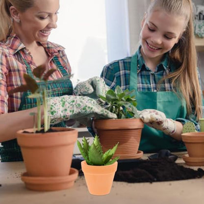 DECHOUS 12-Pack Mini Terracotta Pots, 2.16 Inch Clay Planters | Small Plant Pots with Drainage Holes for Succulents, Cactus, Herbs, Seedlings, Indoor Gardening, DIY Crafts