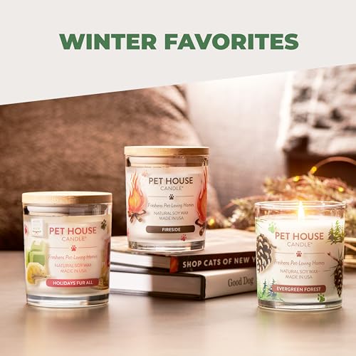 Pet House 9 oz Fresh Cut Grass Scented Candle, Clean Burning, Long Lasting Plant-Based Pet Odor Candle, 60 Hour Burn Time - 2 Pack - color: Fresh Cut Grass, size: Pack of 2