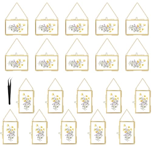 20 Pcs Double Glass Frame for Pressed Flowers,Floating Hanging Photo Christmas Ornaments Frame Brass Frames with Chain for Wall Display Gallery Artwork,Clear Vertical Horizontal Display for Botanical Art,Picture,Stamps,Gallery Decor,Gold - color: Gold-20