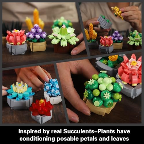 PIKARO Flowers Succulents Building Sets, 12 Plants, for Kids Adults Women | Botanical Collection Building Block Toy, Creative Birthday Housewarming Gifts, Artificial Plant Kit, Home Decor (1174 PCS)