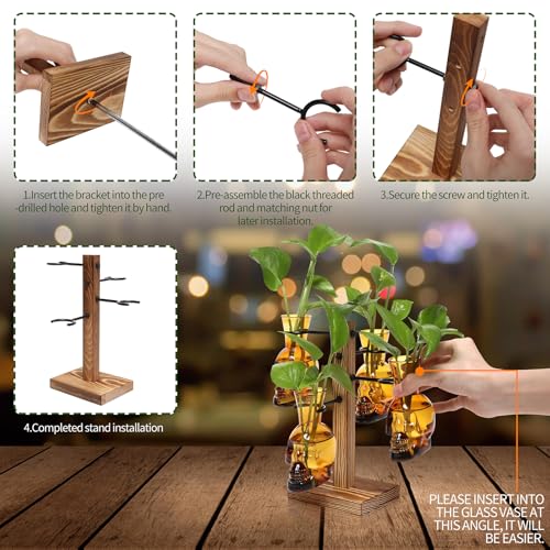 Plants Propagation Stations Skull Glass Propagation Birthday Gift for Women | Garden Plant Lovers - 4 Skull - color: Amber