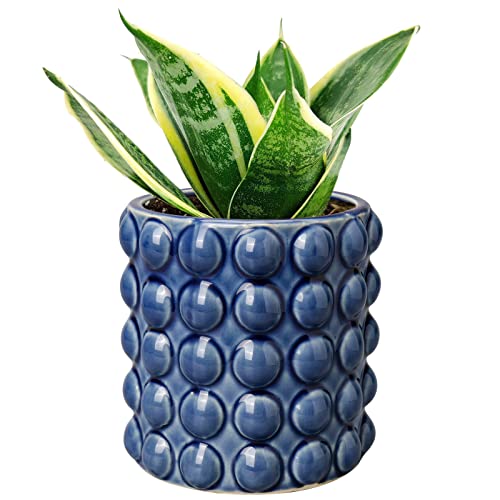 6 Inch Ceramic Planter Pot for Indoor Plants with Drainage Hole Bubble Flower Planter Hobnail Plant Pot Garden Planter Blue Succulent Plant Pot Utensil Holder - color: Blue # 6 Inch