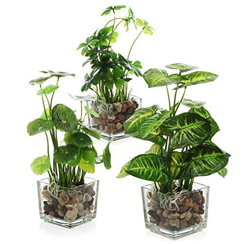 MyGift Set of 3 Small Assorted Artificial Plants in Clear Glass Pot | Indoor Faux Plant Potted in Pebbles for Home Decor, Mini botanical décor for office, bathroom, living room, and table display - color: Clear (Earth Tone Pebbles)