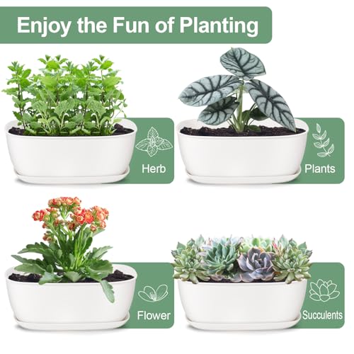Set of 8 White Oval Shallow Herb Garden Planters with Drainage Holes and Trays (8.66 Inch) Plant Pots for Herbs Basil Orchids Succulents, Modern Herb Garden Planter for Indoor/Outdoor Plants - size: 8.66 x 6.1 x 3.39-inch