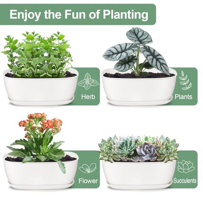 Set of 8 White Oval Shallow Herb Garden Planters with Drainage Holes and Trays (8.66 Inch) Plant Pots for Herbs Basil Orchids Succulents, Modern Herb Garden Planter for Indoor/Outdoor Plants - size: 8.66 x 6.1 x 3.39-inch