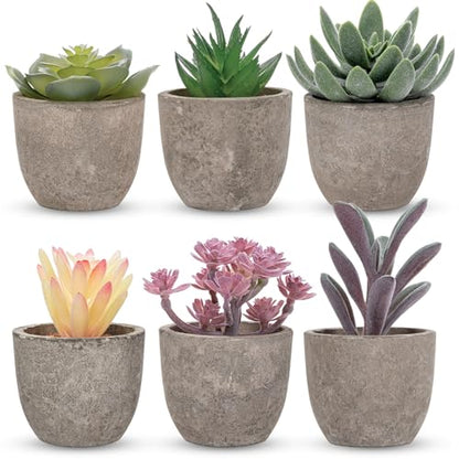 Set of 6 Artificial Succulents Potted - Realistic Mini Fake Cactus Plants in Paper Pulp Pots, 2-4'' Mixed Sizes for Farmhouse Shelf, Bathroom, Coatrack Shelf, Bedroom Indoor(Classic Style) - style: Classic Style