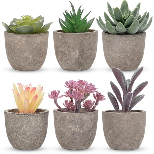Set of 6 Artificial Succulents Potted - Realistic Mini Fake Cactus Plants in Paper Pulp Pots, 2-4'' Mixed Sizes for Farmhouse Shelf, Bathroom, Coatrack Shelf, Bedroom Indoor(Classic Style) - style: Classic Style