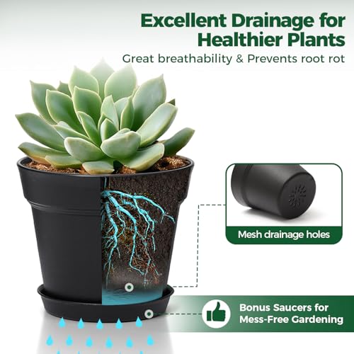 T4U Small Plant Pots 5 Inch 18 Pack, Plastic Flower Pots with Saucer Black | Nursery containers for succulents cactus herbs, Desk windowsill shelf, Violet african violet, Compact lightweight - color: Black, size: 5 In