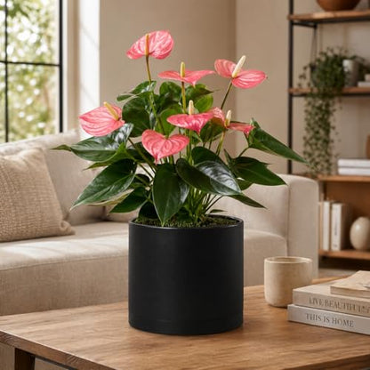Giraffe Creation 10 Inch Cylinder Plant Pot, Modern Round Planter with Drainage Holes and Saucer, Lightweight Plastic Flower Pot for Indoor Outdoor Plants, Black - color: Black 10 Inch
