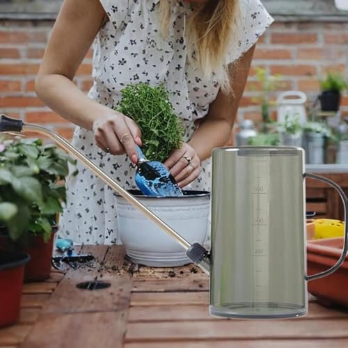 Watering Can, Indoor Long Spout Can, Portable 1L Plant Watering Device, Long Spout Can for Patio, Flowers, Office Indoor, Gray