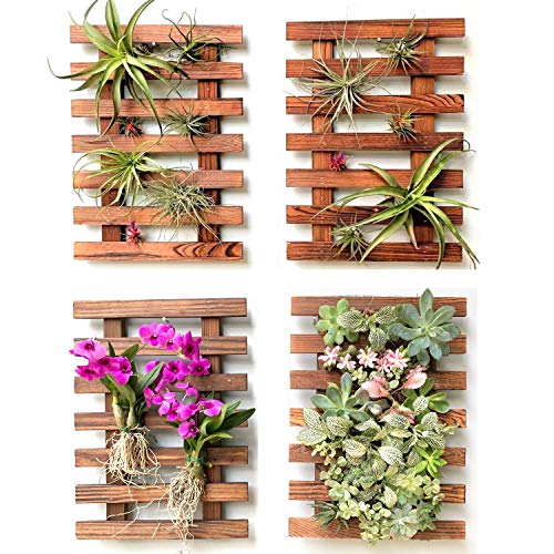 ShopLaLa Wooden Wall Planter (40cm, 4 Pack) Hanging Planters for Indoor | Air Plant Succulent Orchid Holder, Live Vertical Garden Wall Mounted Plant Stand, Wall Christmas Outdoor Decor - size: 40cm (15.7") x 4