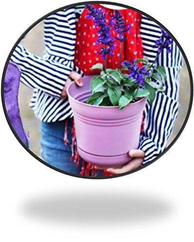 Bloem 818573014641 SP0520 Saturn Planter, 5-Inch, Tequila Sunrise, 5" - color: Tequila Sunrise, size: 5"