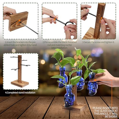Plants Propagation Stations Skull Glass Propagation Birthday Gift for Women | Garden Plant Lovers - 4 Skull - color: Blue
