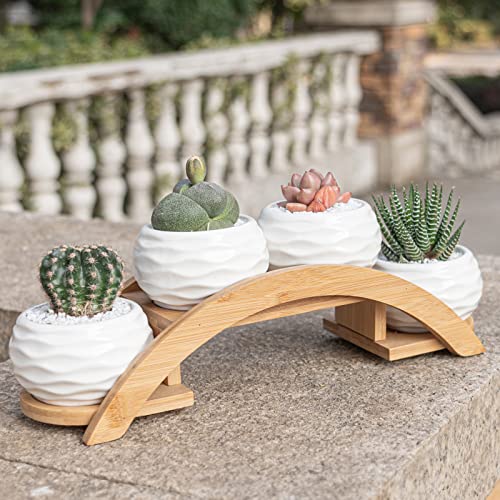 E-liu Eliu Cute Small Ceramic Succulent Pots and Stand Set, Pack of 4 | White Succulent Planter Pot with Drainage Fits Well In Windowsills, Office Indoor Decoration, Plants Not Included