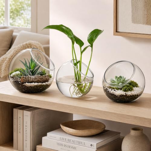 3 Pcs Glass Terrarium Air Plant Planters - Slant Cut for Home Office Decor, Succulent & Air Plant Containers, Transparent Glass Vases for DIY Gifts, Weddings, Housewarming