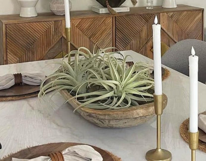 Casktcom® Extra Large Artificial Air Plants – Set of 3 Faux Tillandsia Bromeliads，Fake Succulent Plants – No Care Needed - size: Large