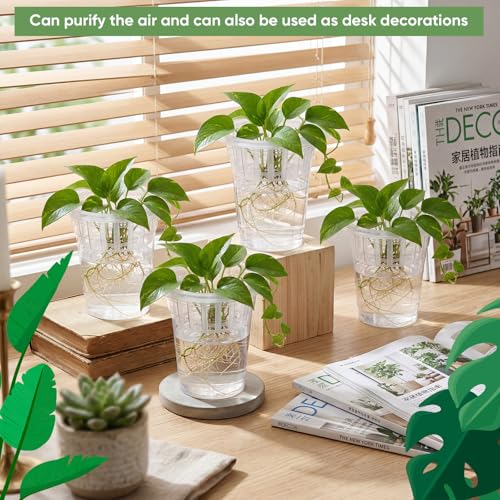 70 Pcs Plastic Plant Propagation Vase for Indoor Decor, 4.25'' | Clear Plastic Vase with Hydroponic Basket, Pet Material, Root Support Design, Easy Water Changes, Home Office Desktop Display - size: 4.25''
