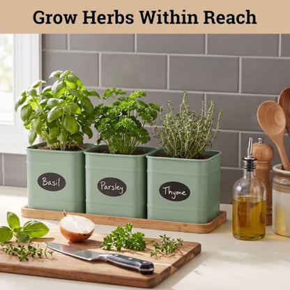 Herb Planter Indoor, 3-pc Herb Pots w/ Drainage Holes, Bamboo Tray & Labels | Iron Herb Pots, Varnished Bamboo Tray with Anti-Skid Base, Customizable Oval Sticker and Stick Labels & Chalkboard Marker Pen - color: Sage Green