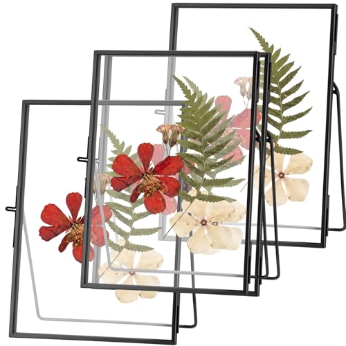 3 Pack Pressed Flower Frame Handmade, 5 x 7 floating Picture Frames for Pressed Flowers, Brass Double Glass for Tabletop Display, Home Office Plant Specimen, Photos(Black) - color: Black, size: 5 x 7 inches