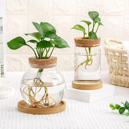 Layhit 4 Pcs Plants Propagation Stations vases Glass Planters with Wooden Lid and Bamboo Stand for Hydroponic Plants Gardening Gifts for Women Mom Home Office Tabletop Decoration(Funny Style) - style: Funny Style