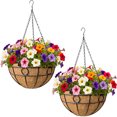 2 Pack 12 Inch Outdoor Plant Hanging Basket Round Metal Hanging Planter with Coco Coir Liner Black Metal Chain for Indoor Plants Baskets Railing Flower Pots Home Decor Flowers - color: Circular
