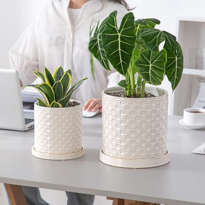 8 Inch Plant Pot: Ceramic Planter with Drainage Hole & Saucer Indoor Outdoor Plants - Cylinder Round Flower Pot for Home Office - Modern Decorative - Medium White