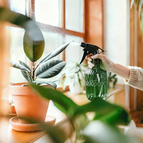 Glass Plant Misters for Inside, 13.5 oz Mister Spray Bottle for Plants, Spring Gardening, Cleaning, Hair, Pets Care with Adjustable Nozzle