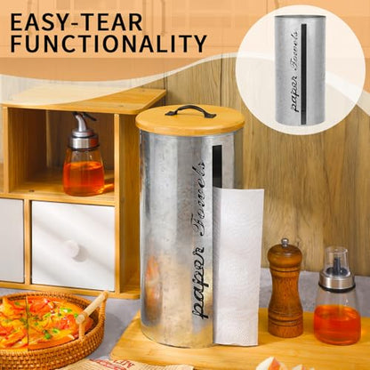 Beeveer Farmhouse Paper Towel Holder Covered Metal Rustic Countertop Paper Towel Dispenser with Wooden Lid Fully Covered Holder for Home Country Bathroom Kitchen 6.3 x 6.3 x 13.4'', Silver