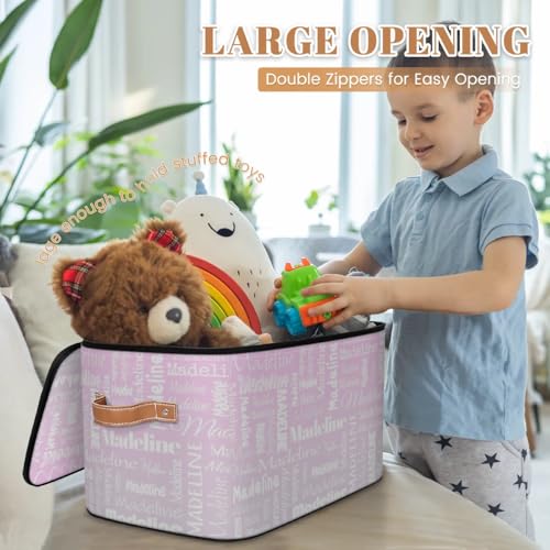 Custom Name Storage Basket, Personalized Keepsake Box,Grey Pink | Foldable Fabric Gradient Large Memory Bin with Handle Lid Lightweight Waterproof Dustproof, 14"L x 10.2"W x 10.4"H - color: Option 12