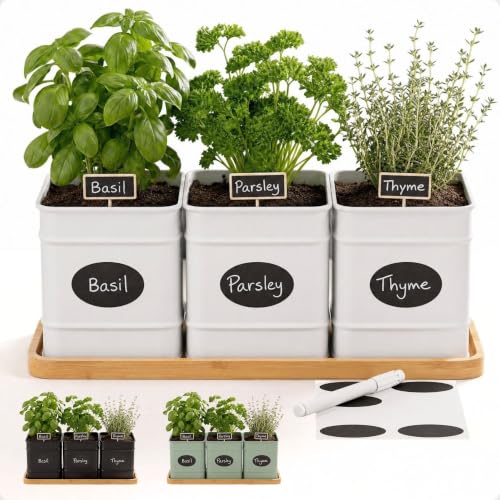 Herb Planter Indoor, 3-pc Herb Pots w/ Drainage Holes, Bamboo Tray & Labels | Iron Herb Pots, Varnished Bamboo Tray with Anti-Skid Base, Customizable Oval Sticker and Stick Labels & Chalkboard Marker Pen - color: White