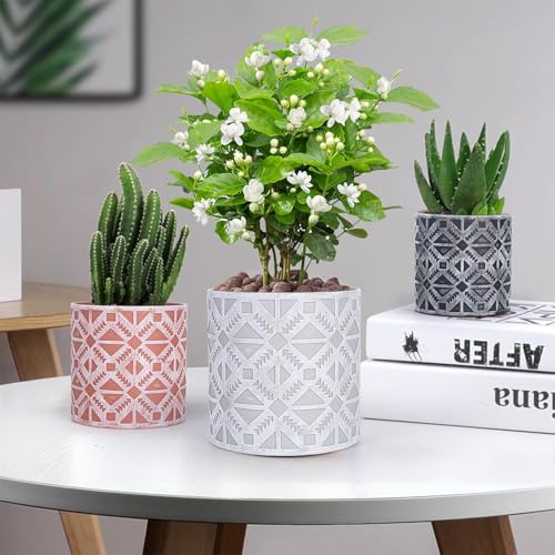 lokeisna Plant Pots, Set of Indoor Plant pots, Plastic Planter with Drainage and Saucer, Modern Distinctive Self Watering Plant Pot, Spray Spots (Indoor Plant Pots) - color: Indoor Plant Pots