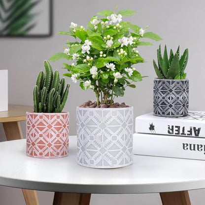 lokeisna Plant Pots, Set of Indoor Plant pots, Plastic Planter with Drainage and Saucer, Modern Distinctive Self Watering Plant Pot, Spray Spots (Indoor Plant Pots) - color: Indoor Plant Pots