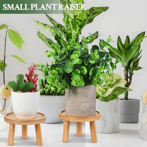 Levemolo 2Pcs Wooden Flower Pot Tray Base Indoor Plant Stand | Stable wood base, for indoor tabletops, supports potted plants and succulents