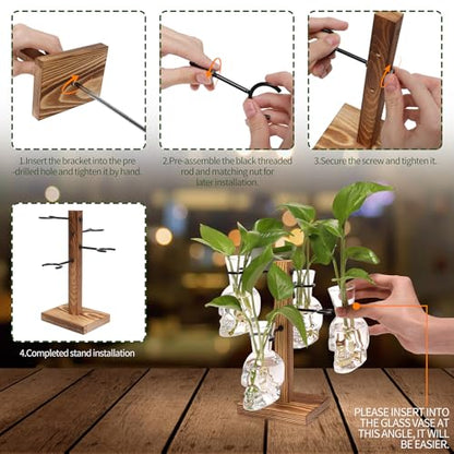 Plants Propagation Stations Skull Glass Propagation Birthday Gift for Women | Garden Plant Lovers - 4 Skull - color: Transparent