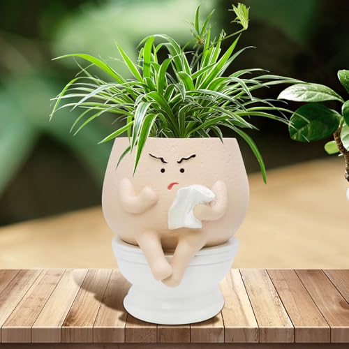 Funny Toilet Plant Pot Self Watering Face Planter for Indoor Plants | Quirky Succulent Flower Pots with Drainage Hole, Home Garden Decor Gift for Women Friends Family on Christmas Birthday