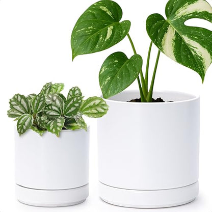 D'vine Dev 2-Pack Ceramic Pots with Saucers, White, 4/6 in, 94-G-S-1 | Glazed Ceramic, Drainage Hole, Perfect-Fit Saucer, Sleek Cylinder Shape, High Temperature Fired, Elegant Home Accent - color: White, size: Small