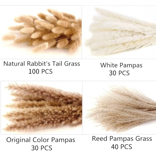 200PCS Dried Flower Bouquet – Pampas Grass, Floral Decor for Home, Wedding, and Boho Style | Perfect for Vases, Fall, Spring, Summer, and Winter Arrangements - size: 200PCS