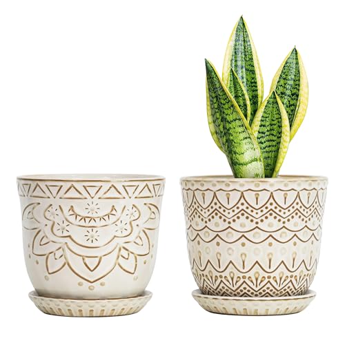 Gepege Ceramic Plant Pots, 6 Inch Indoor Planters with Drainage & Saucers | Ceramic pots for plants with drainage holes, ceramic saucers and mesh pads, ideal for flowers, herbs and succulents, set of 2 - color: White-c, size: 6 Inch - Set of 2