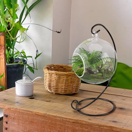 Air Plant Terrarium Kit with Stand, Hanging Glass VaseTerrarium Globe with Metal Ornament Display Stand Tabletop Glass Terrarium for Air Plants Succulent Planters Small Plants