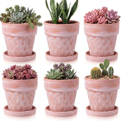 Set of 6 Embossed Succulent Pots 4" Small Terracotta Pots with Drainage Hole and Saucer Rustic Clay Succulent Planter Pot Decorative Ceramic Cactu Flower Pot for Indoor Outdoor(Lattice Style) - size: 4 Inch, style: Lattice Style