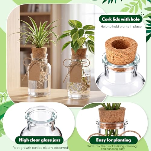 15 Pack Plant Propagation Stations with Hole Lid Tag,Cylindrical | 4.05'' Glass Propagation Jars, 4 oz Clear Hydroponic Planter Vase Bulk for Plant Lovers, Indoor, Office, Home, Garden