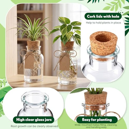 15 Pack Plant Propagation Stations with Hole Lid Tag,Cylindrical | 4.05'' Glass Propagation Jars, 4 oz Clear Hydroponic Planter Vase Bulk for Plant Lovers, Indoor, Office, Home, Garden