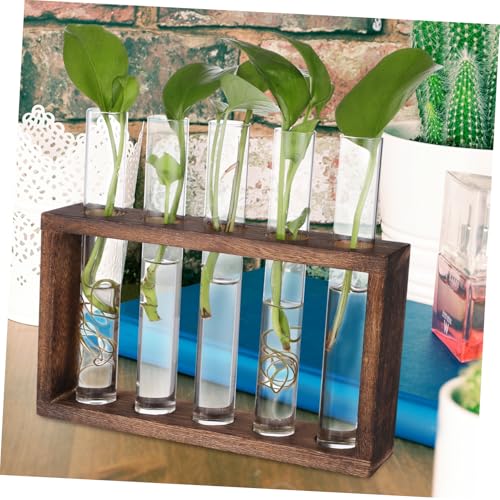 GALPADA Hanging Plant Propagation Station Set Hydroponic Glass Tubes with Cleaning Brush for Home and Office Decoration Wall-Mounted Plant Vase