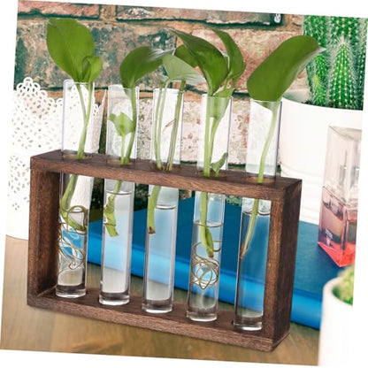 GALPADA Hanging Plant Propagation Station Set Hydroponic Glass Tubes with Cleaning Brush for Home and Office Decoration Wall-Mounted Plant Vase