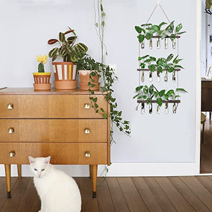 XXXFLOWER Wall Hanging Propagation Station with Wooden Stand 5 Glass Test Tubes 3 Tiered Planters Wall Terrarium for Home Office Plant Hanger Flower Vases Wall Decor Hydroponic Cuttings | 3 Tiers Plant Propagation Tubes Wall Decor Hydroponic Cuttings Plan