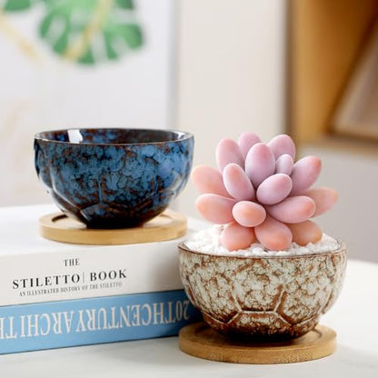 YYW Ceramic Succulent Planter, 4 Pack Cute Garden Pots with Drainage and Attached Saucer - color: Dark Ceramics
