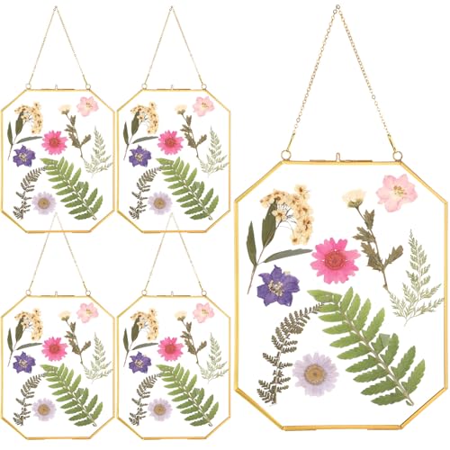 Treela 4 Pieces 8 x 10 Inch Glass Pressed Flower Frame, Hanging Double Glass Frames with Metal Chain Octagon Brass Tabletop Display for Dried Flowers Plant Picture Photo Artwork DIY Decor(Gold) - color: Gold, size: 8 x 10 Inch