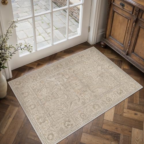 Entryway Rugs 2x3 Washable Rug for Living Room Non-Shedding Bedroom Rug Textured Distressed Non Slip Stain Resistant Low Pile Throw Carpet for Home Decor (Brown) - color: Beige Brown, size: 2' x 3' (Rectangular)